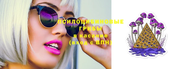 СК Протвино