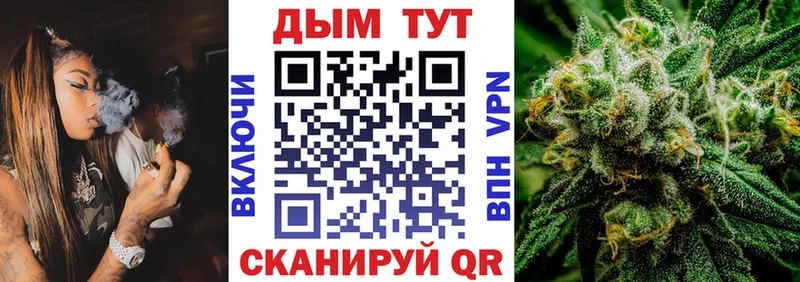 Бошки марихуана THC 21%  Купить где  Покровск 